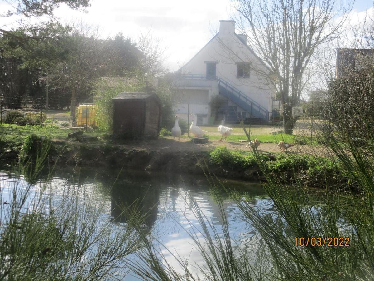 Camping Vert De Morlaix Garlan Exteriör bild